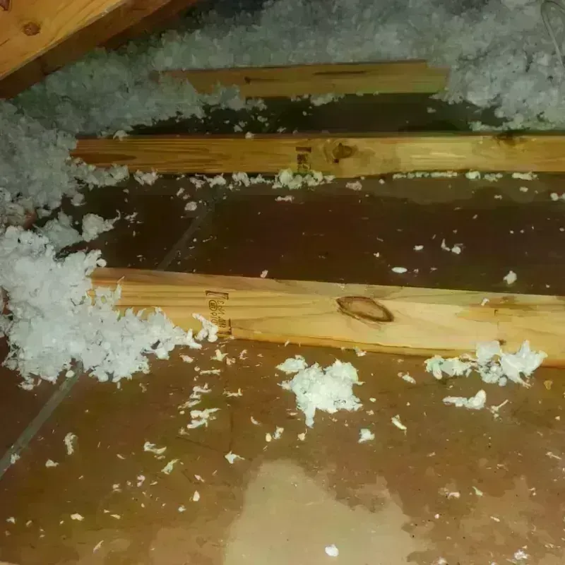 Attic Water Damage in Winston, OR