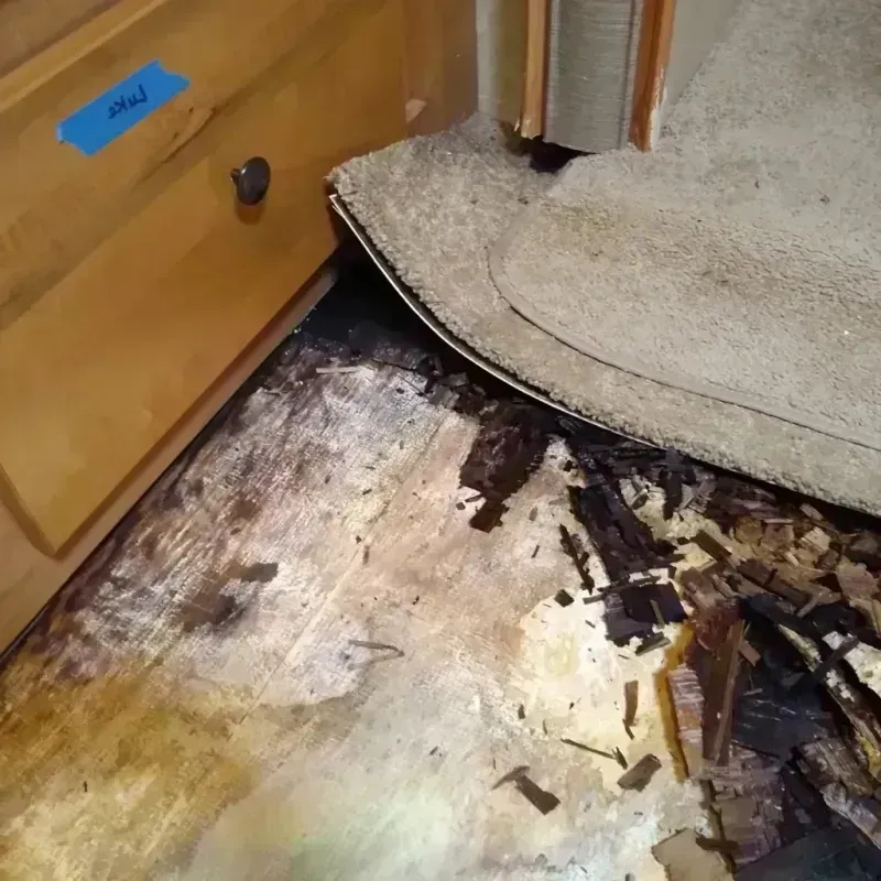 Wood Floor Water Damage in Winston, OR